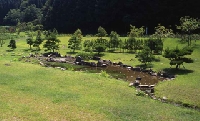 東氏館跡庭園