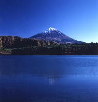 富士山の伏流水