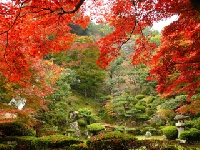 京極家墓所と庭園